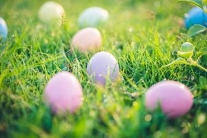 Easter eggs on green grass with dew drop in the morning.