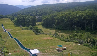 lookout webcam