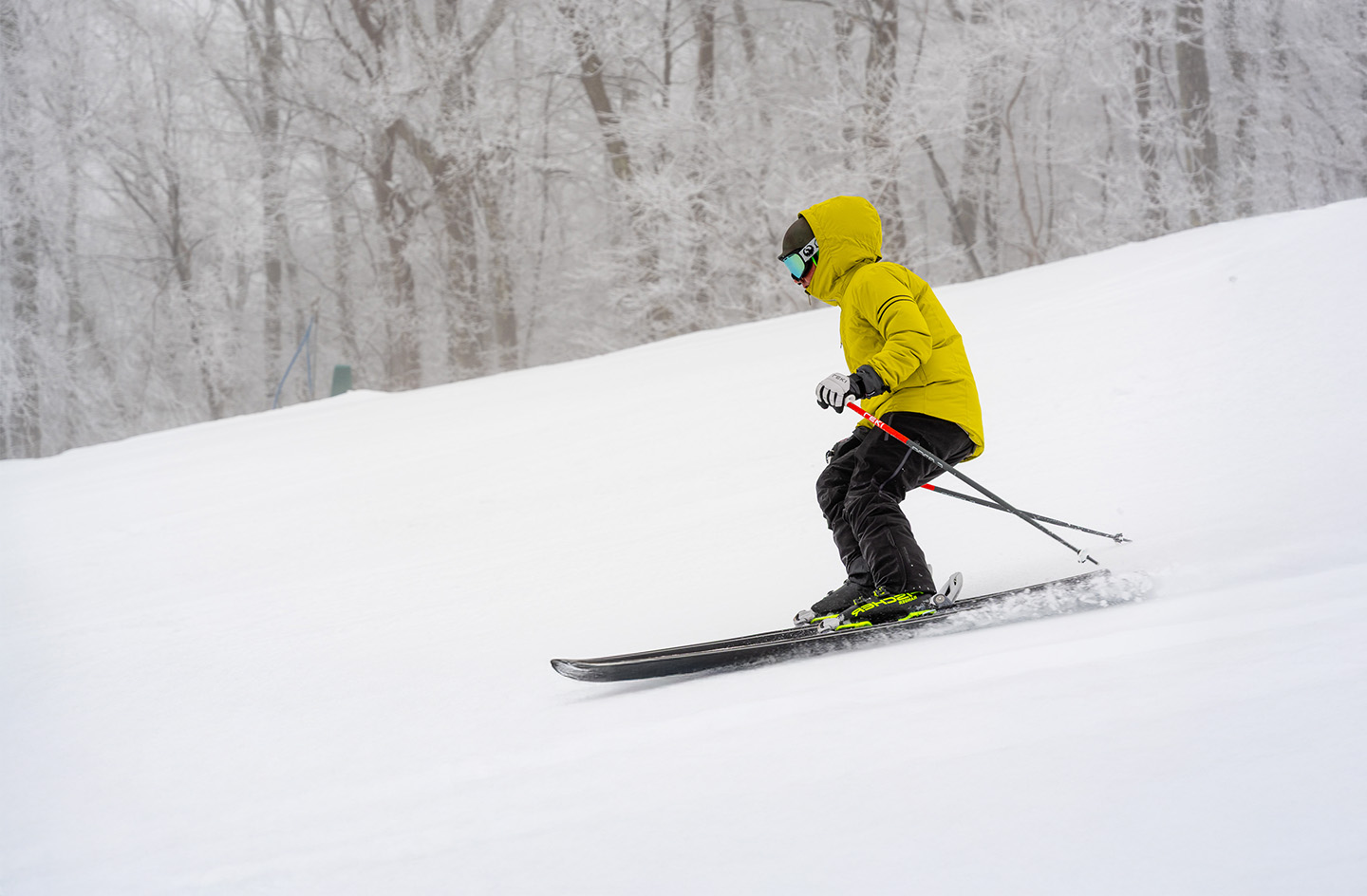 Snow Snow and More Snow The - MA 25 26 Hero2 